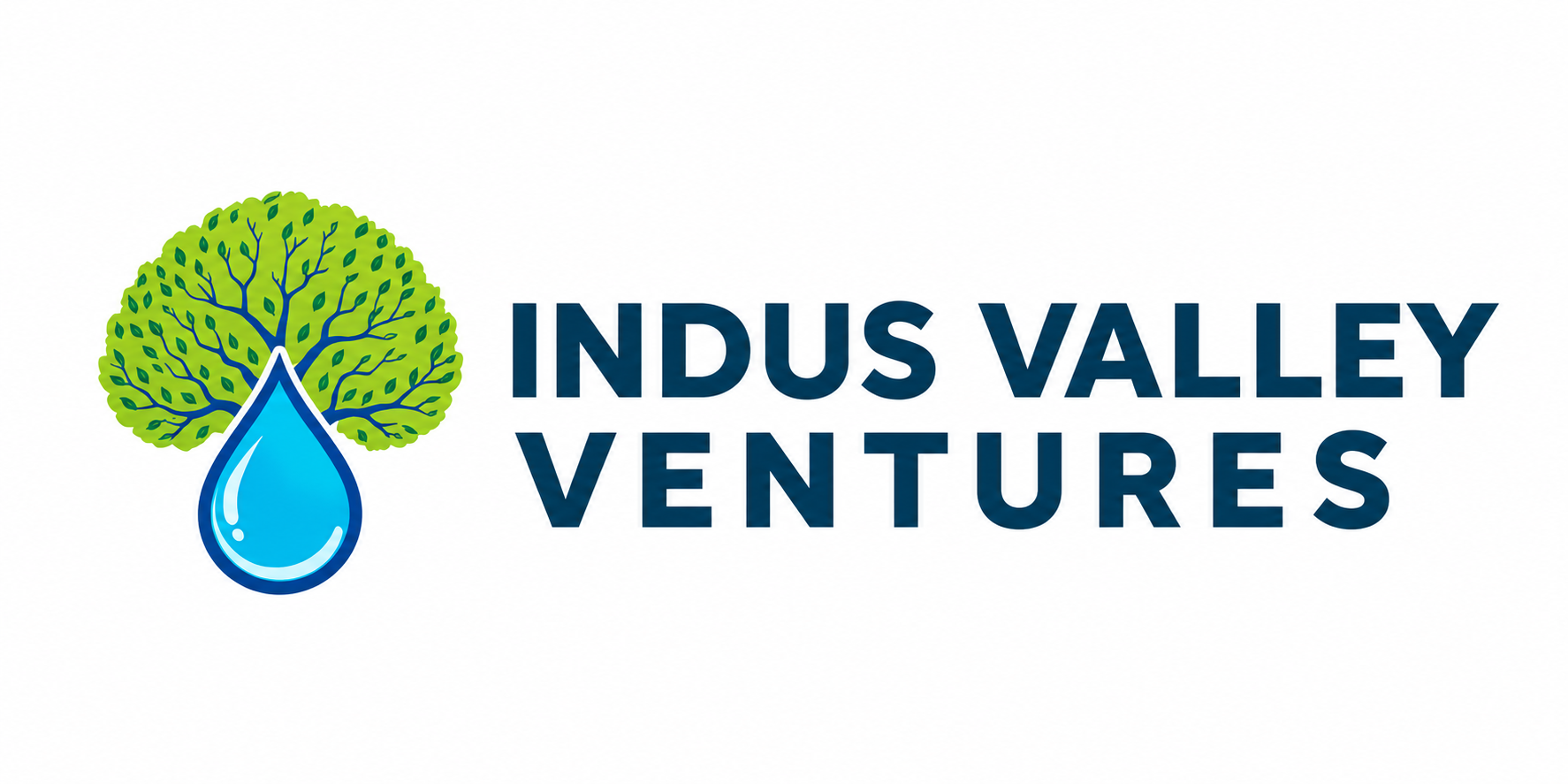 Indus Valley Ventures